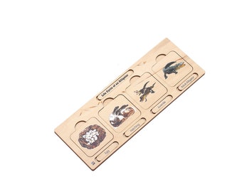 Life Cycle Puzzle: Alligator | Montessori Puzzles | Life Cycle Puzzles | Montessori Life Cycles | Alligator Life Cycle
