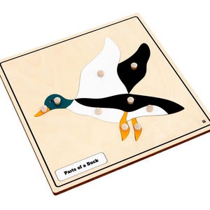 May include: Wooden puzzle featuring a duck with black, white, and green wings. The puzzle has six pieces that fit into the corresponding holes on the board. The board has the text "Parts of a Duck" printed on it.