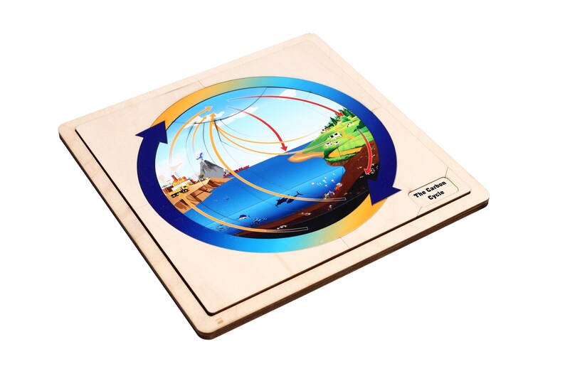 The Carbon Cycle Puzzle | Montessori Materials | Homeschool Materials ...