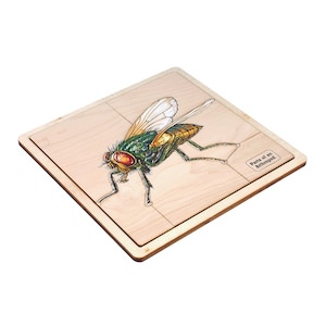 Parts of an Arthropod Puzzle - Montessori Zoology Learning - Educational Materials - Wooden Puzzles