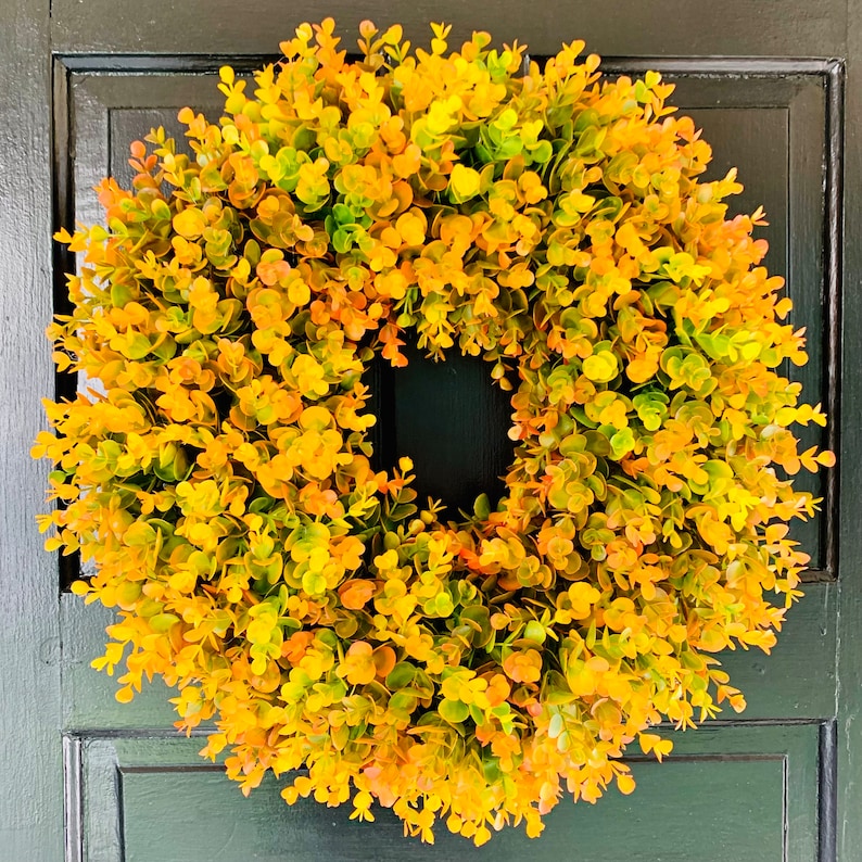 Fall Eucalyptus Wreath for the Front Door, Fall Grapevine Door Wreath ...