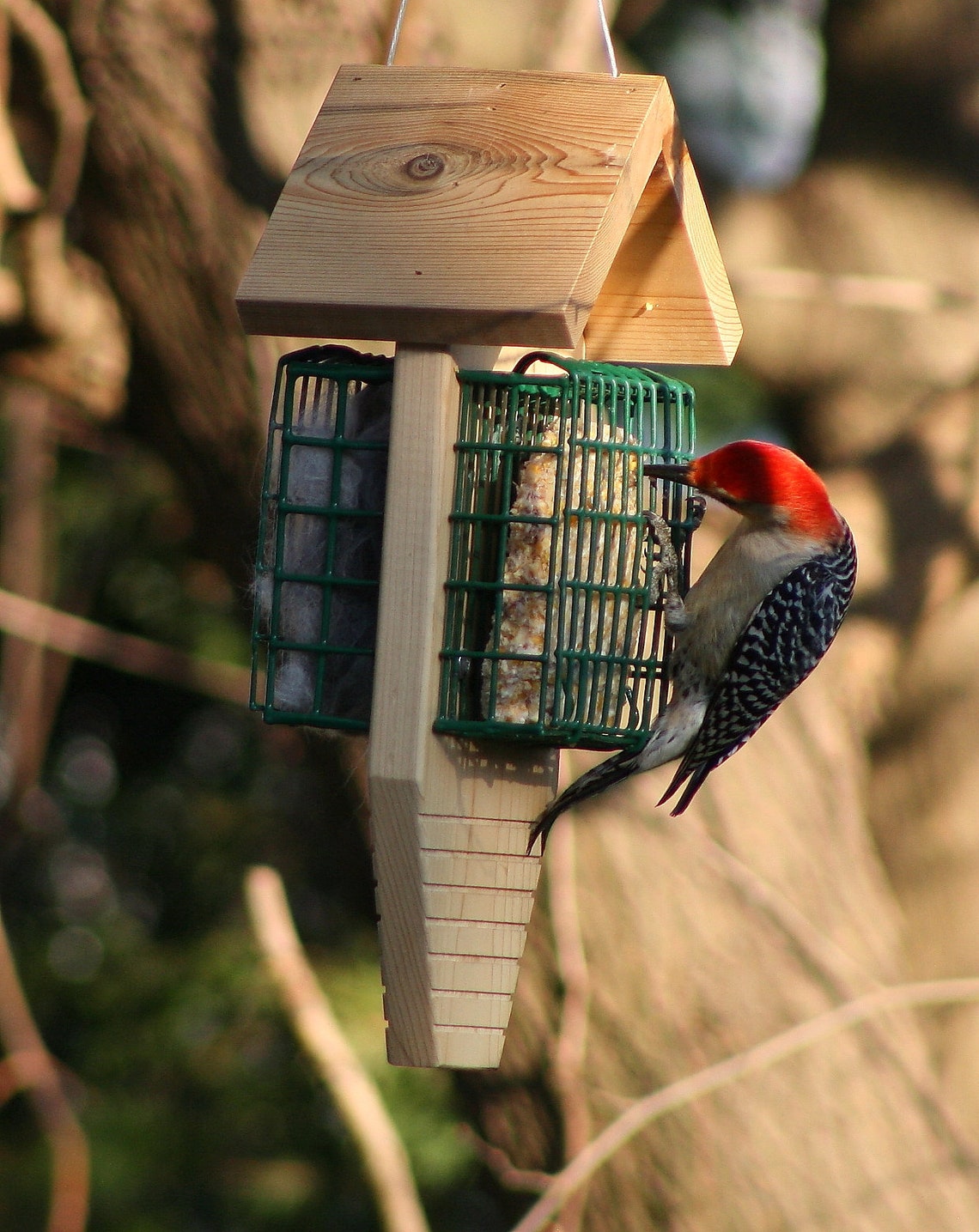 Suet Feeder Woodpecker Large Bird Natural Cedar Wood Dual Etsy
