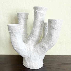 Peut inclure: Un candélabre en céramique blanche doté d'une surface texturée et poreuse imitant l'aspect du corail naturel. L'objet présente cinq branches distinctes s'élevant vers le haut à des hauteurs variées, chacune conçue pour une bougie.