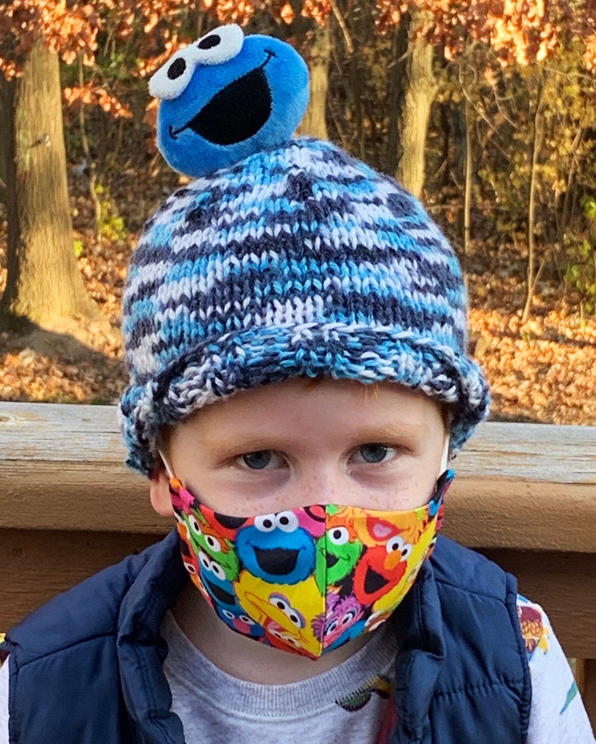 Cookie Monster Knit Hat, Infant/toddler Knit Hat, Sesame Street