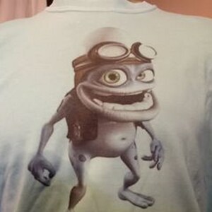 May include: A light blue t-shirt with a cartoon image of a blue frog wearing goggles and a black vest. The frog is smiling and has large eyes.