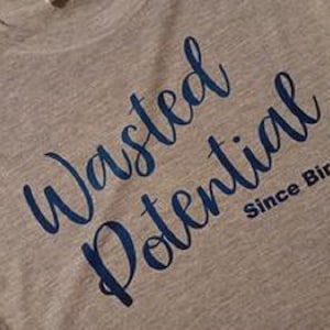 May include: A gray t-shirt with the text "Wasted Potential Since Birth" printed in blue.