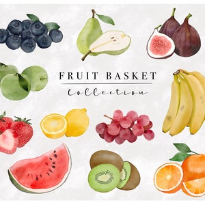 Watercolour Fruit Clip Art - Fruit Download- Instant Download - Fruit Clipart - PNG Files