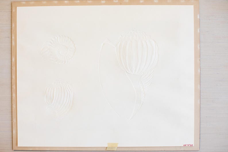 Vintage Signed 1980's David Allgood Pastel Embossed Seashell Print