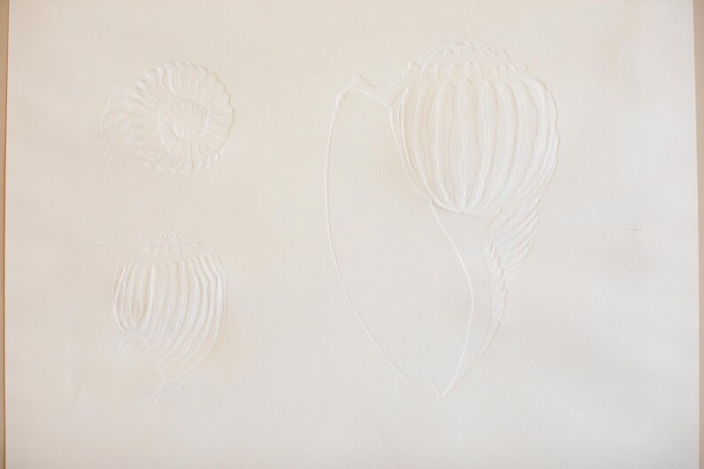 Vintage Signed 1980's David Allgood Pastel Embossed Seashell Print