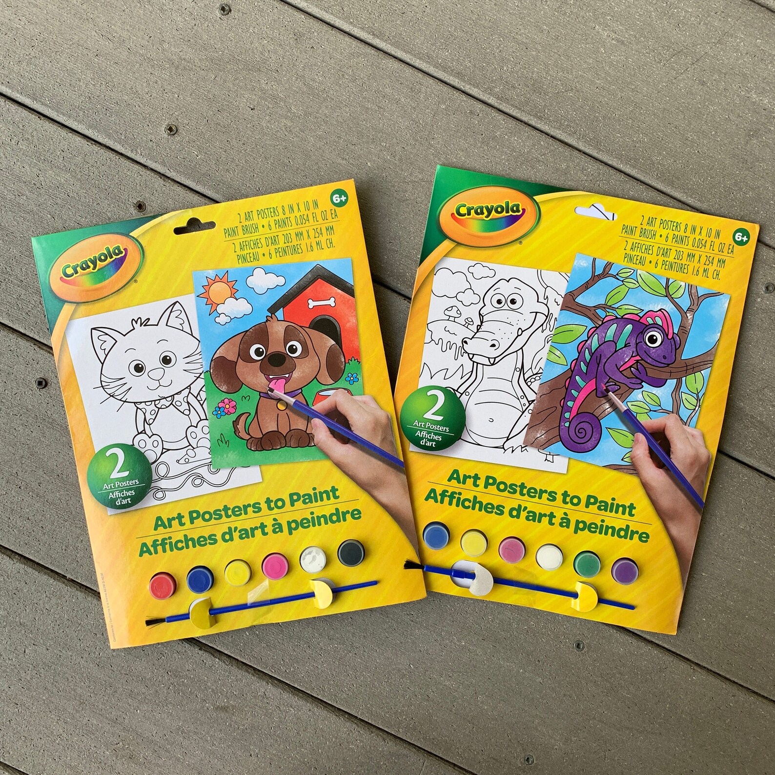 Kit de coloriage pour enfants 2 pack Toile Poster Paint | Etsy