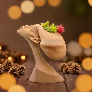 Afro Queen Succulent Planter,  Gift for Woman, Unique Gift, African Inspired Planter, Black Art Home Décor, Head Planter Sculpture