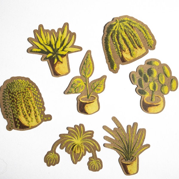 House Plants Sticker Set | Kraft Stickers | Aloe Vera | Spider Plant | String of Pearls | Coin Plant | Burros Tail | Monstera Adansonii
