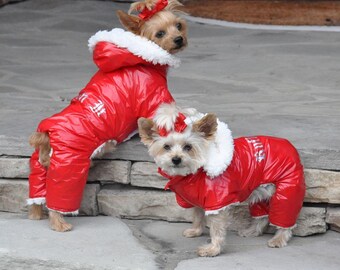 dog snowsuit uk