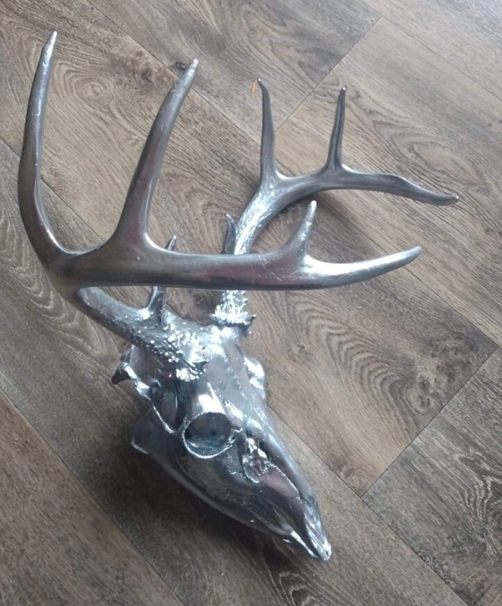 European Mount Deer Skull with Antlers Hand Painted Silver / | Etsy