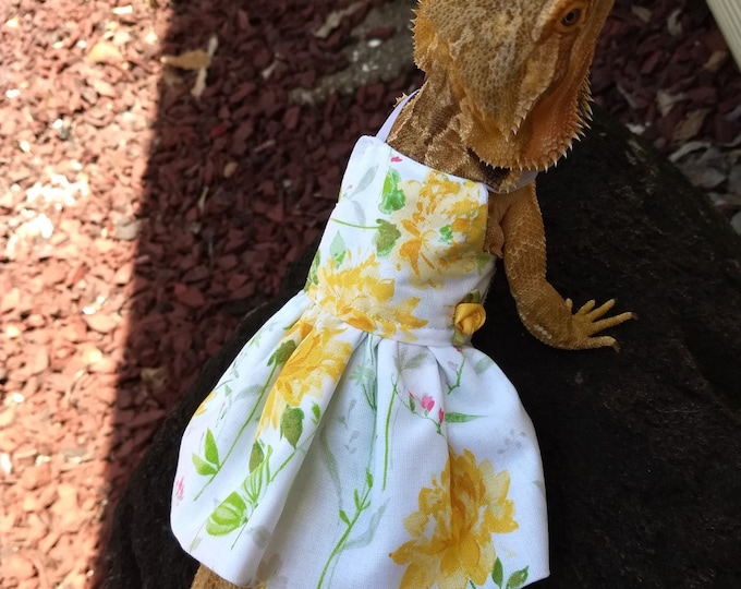Yellow Bearded Dragon Dress MADE IN AMERICA