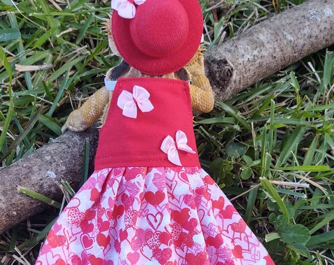 Valentine's Day Bearded Dragon Dress MADE IN AMERICA