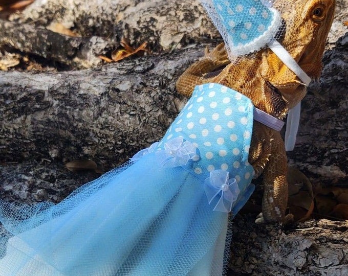 Princess Bearded Dragon Costume Dress MADE IN AMERICA
