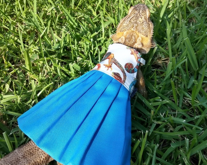 Blue Lizard Themed Bearded Dragon Dress MADE IN AMERICA