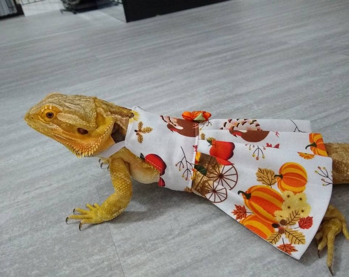 Autumn/Thanksgiving Bearded Dragon Dress MADE IN AMERICA