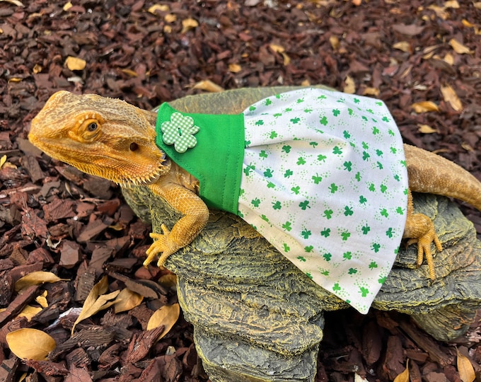 Saint Patrick's Day Bearded Dragon Outfit MADE IN AMERICA