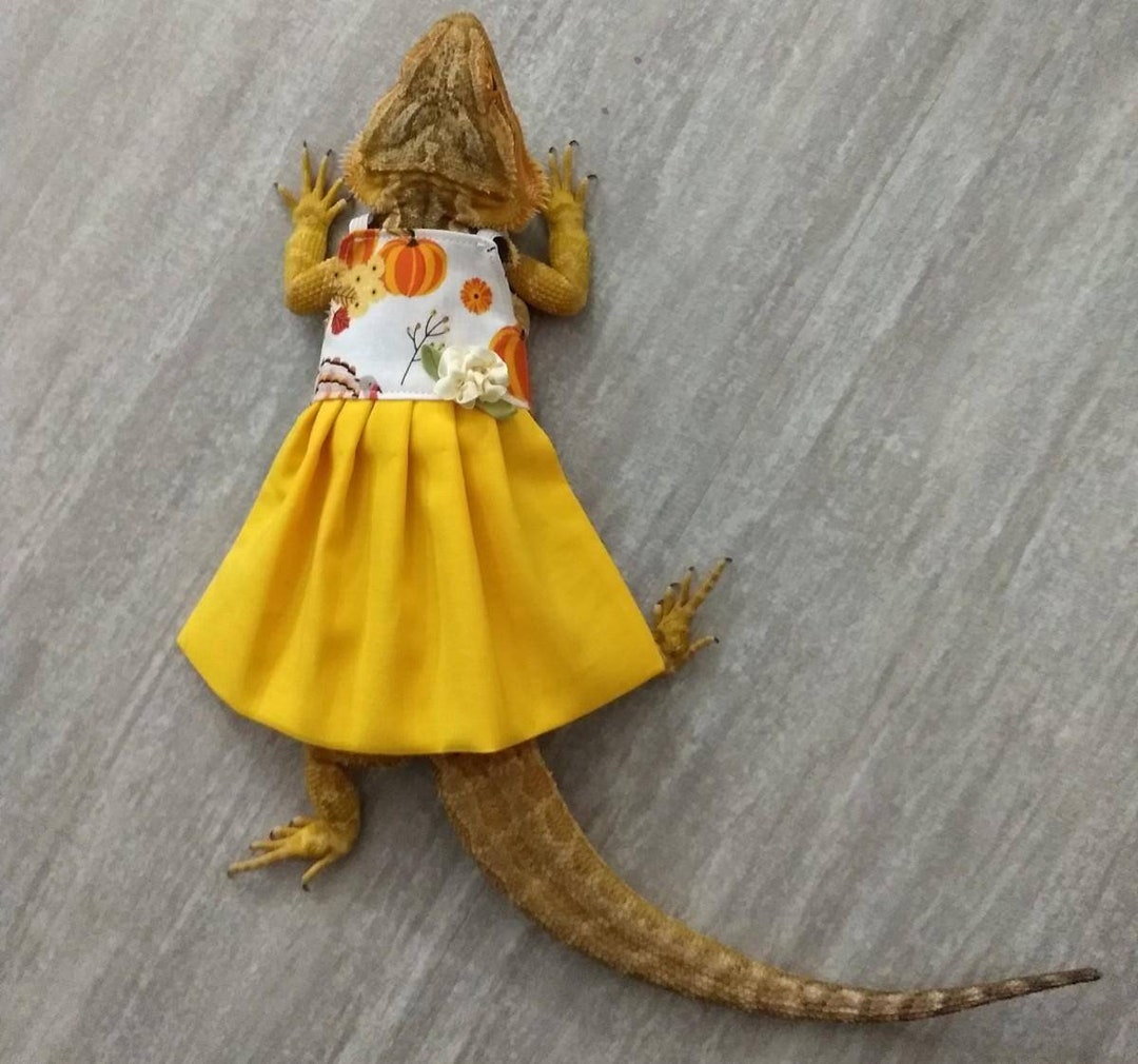 Autumn/thanksgiving Bearded Dragon Dress MADE IN AMERICA - Etsy