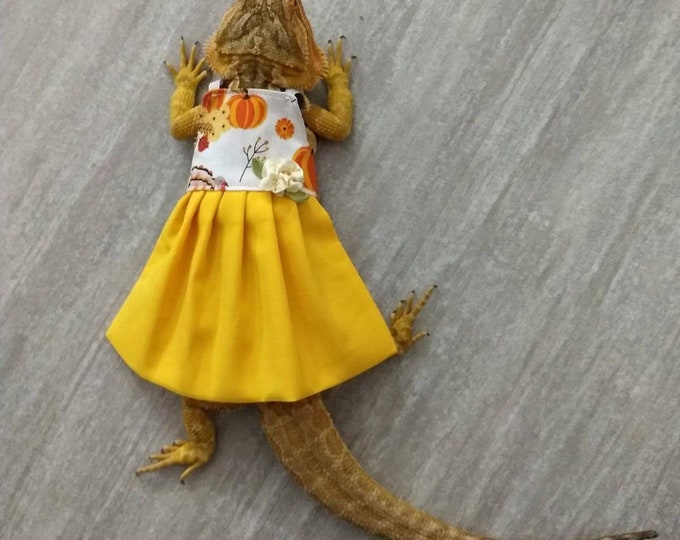 Autumn/Thanksgiving Bearded Dragon Dress MADE IN AMERICA