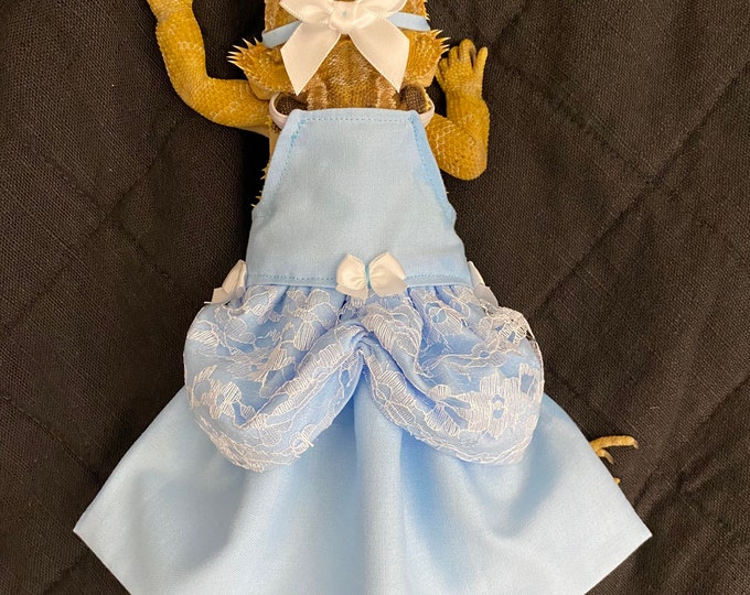 Cinderella Princess Bearded Dragon Costume Dress MADE IN AMERICA