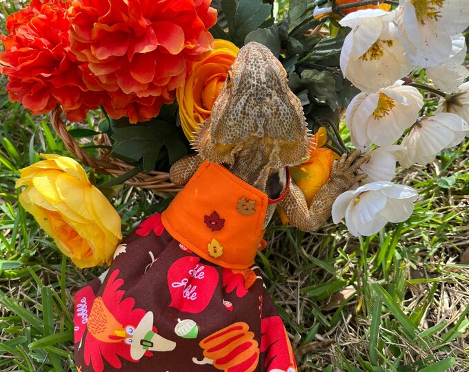 Autumn/Thanksgiving Bearded Dragon Dress MADE IN AMERICA