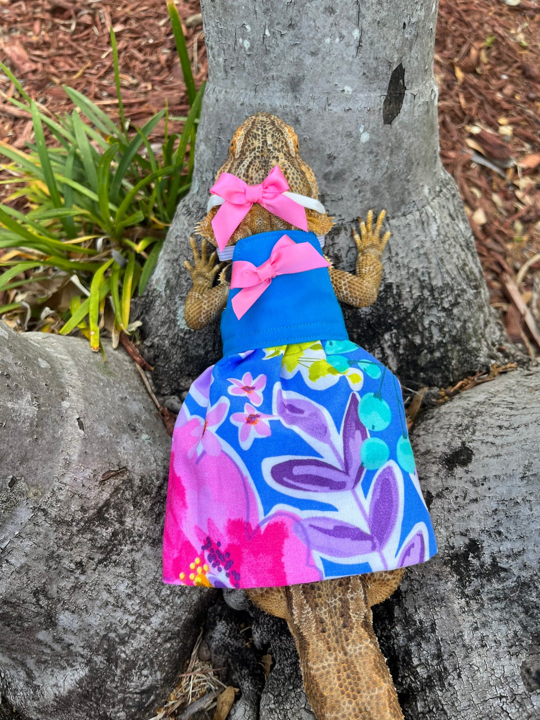 Floral Bearded Dragon Dress With Matching Hat - MADE IN AMERICA - Etsy