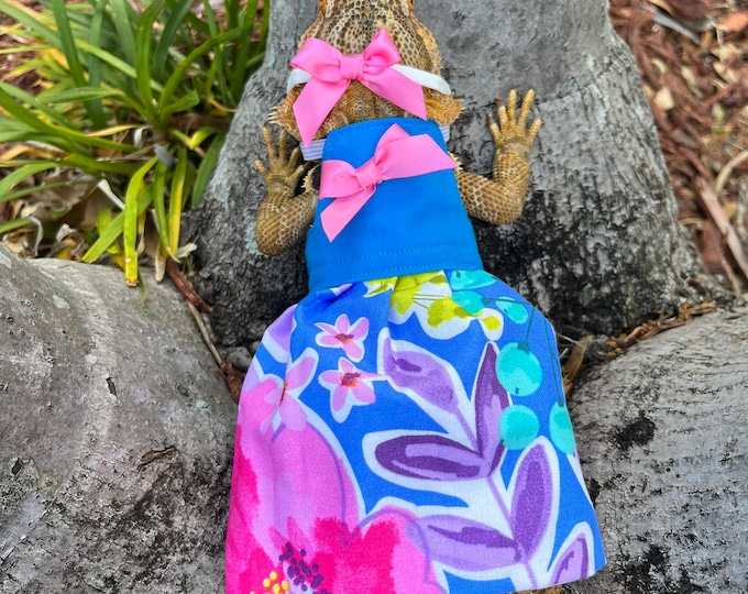 Super Cute Blue Floral Bearded Dragon Dress MADE IN AMERICA