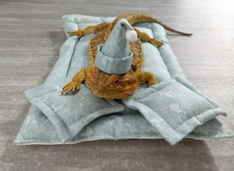 Bearded Dragon Bed 6pcs MADE IN AMERICA Etsy