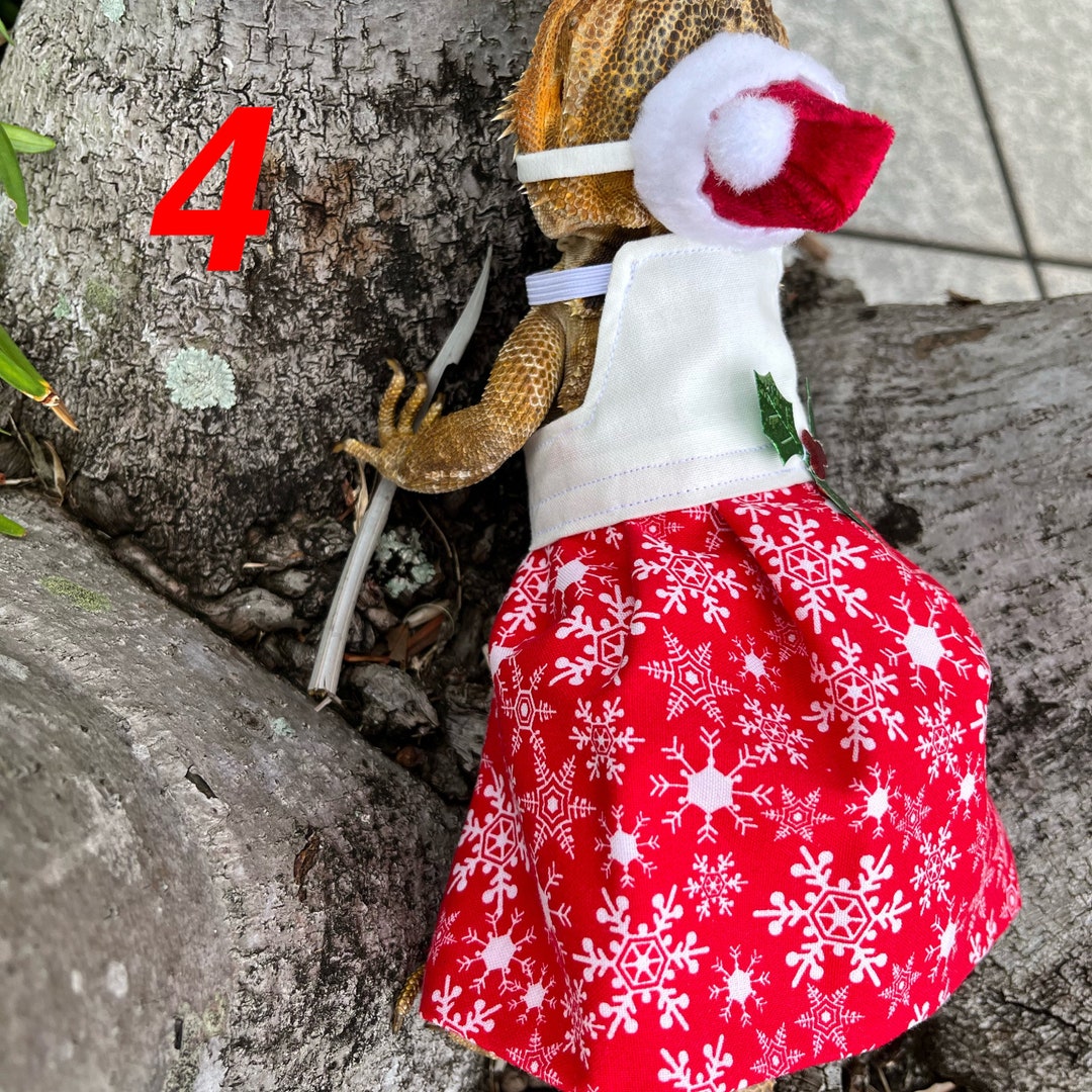 CHRISTMAS Bearded Dragon Dresses Made in America - Etsy