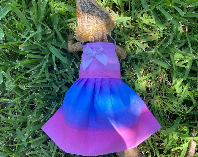 Ombre Bearded Dragon Dress MADE IN AMERICA