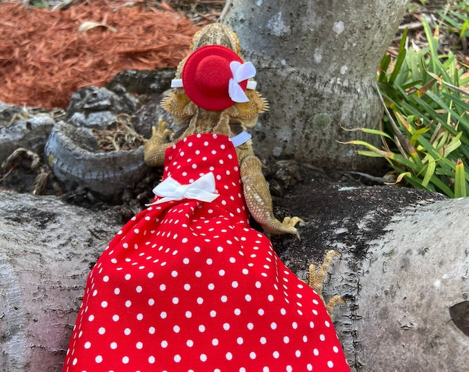 Red Polka Dot Bearded Dragon Dress MADE IN AMERICA