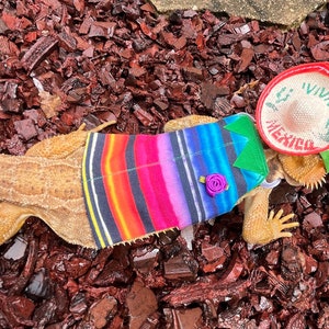 Mexican bearded dragon shirt MADE IN AMERICA