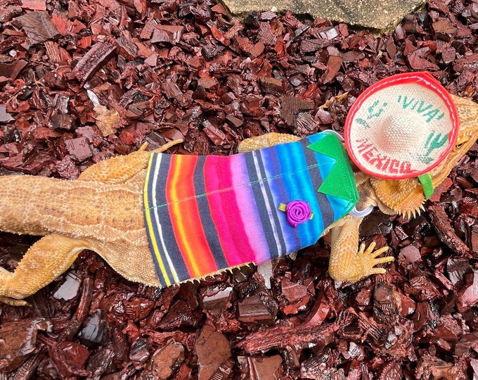 Mexican bearded dragon shirt MADE IN AMERICA