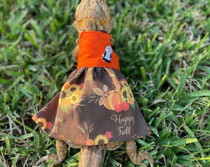 Autumn/Thanksgiving Bearded Dragon Dress MADE IN AMERICA