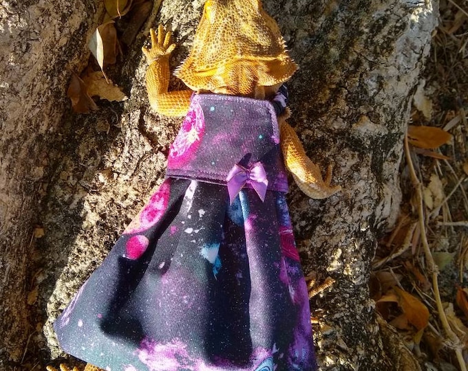Galaxy Bearded Dragon Dress MADE IN AMERICA