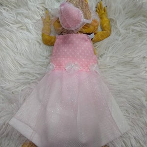 Pink Princess Bearded Dragon Costume Dress MADE IN AMERICA