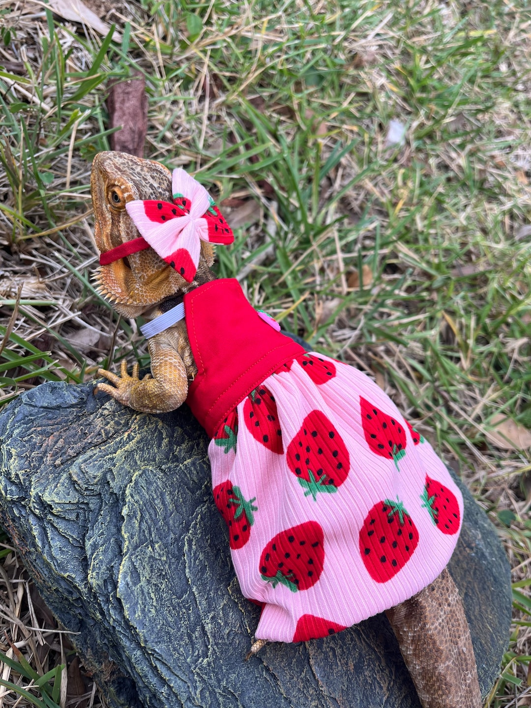 Strawberry Bearded Dragon Dress MADE IN AMERICA Etsy