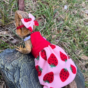 Strawberry Bearded Dragon Dress MADE IN AMERICA
