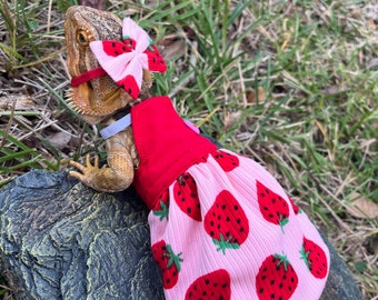 Strawberry Bearded Dragon Dress MADE IN AMERICA