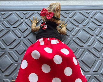 May include: A red and white polka dot dress with a black bodice and a red bow. The dress is worn by a bearded dragon.