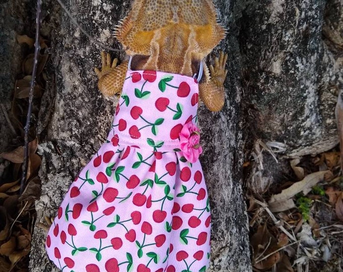 Cherry Bearded Dragon Dress MADE IN AMERICA