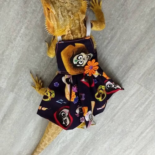Bearded Dragon Bed 6pcs MADE IN AMERICA Etsy