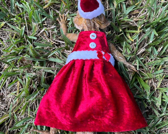 Mrs Claus Christmas Bearded Dragon Dress MADE IN AMERICA