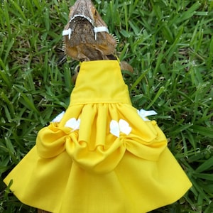 Belle Princess Bearded Dragon Costume Dress MADE IN AMERICA