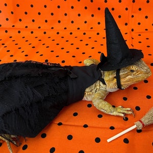 Cute Witch Bearded Dragon Dress MADE IN AMERICA  with hat and broom