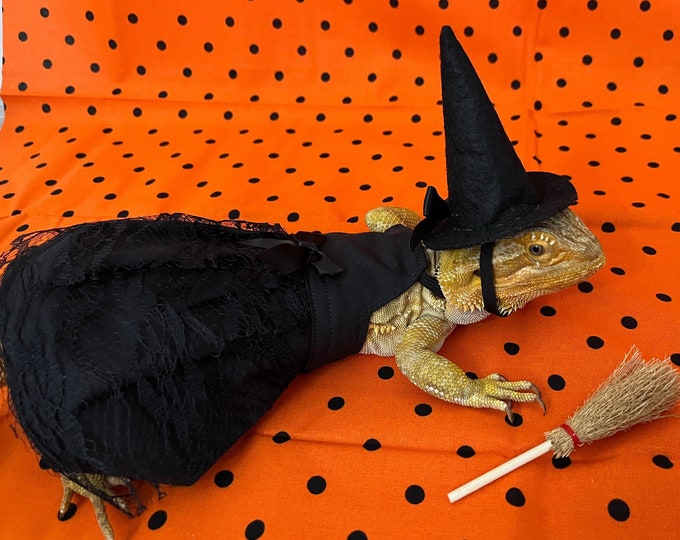 Cute Witch Bearded Dragon Dress MADE IN AMERICA  with hat and broom