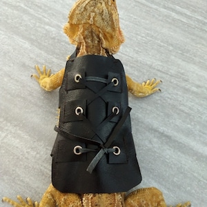 Bearded Dragon Gladiator Vest Costume MADE IN AMERICA